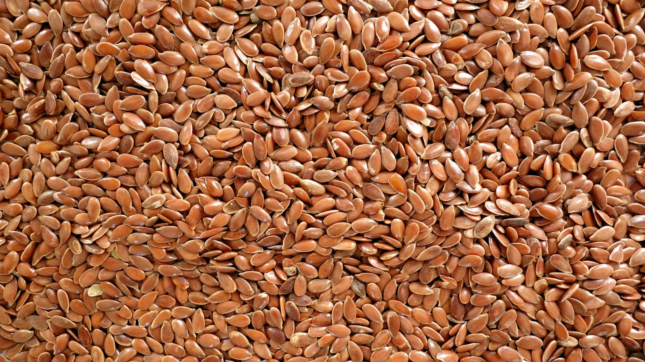 Close-up of whole brown flaxseed, also traded as linseed, showing the seed shapes and colour.