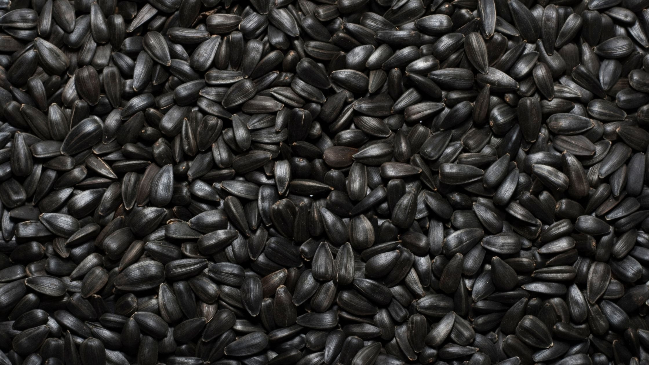 Premium seeds