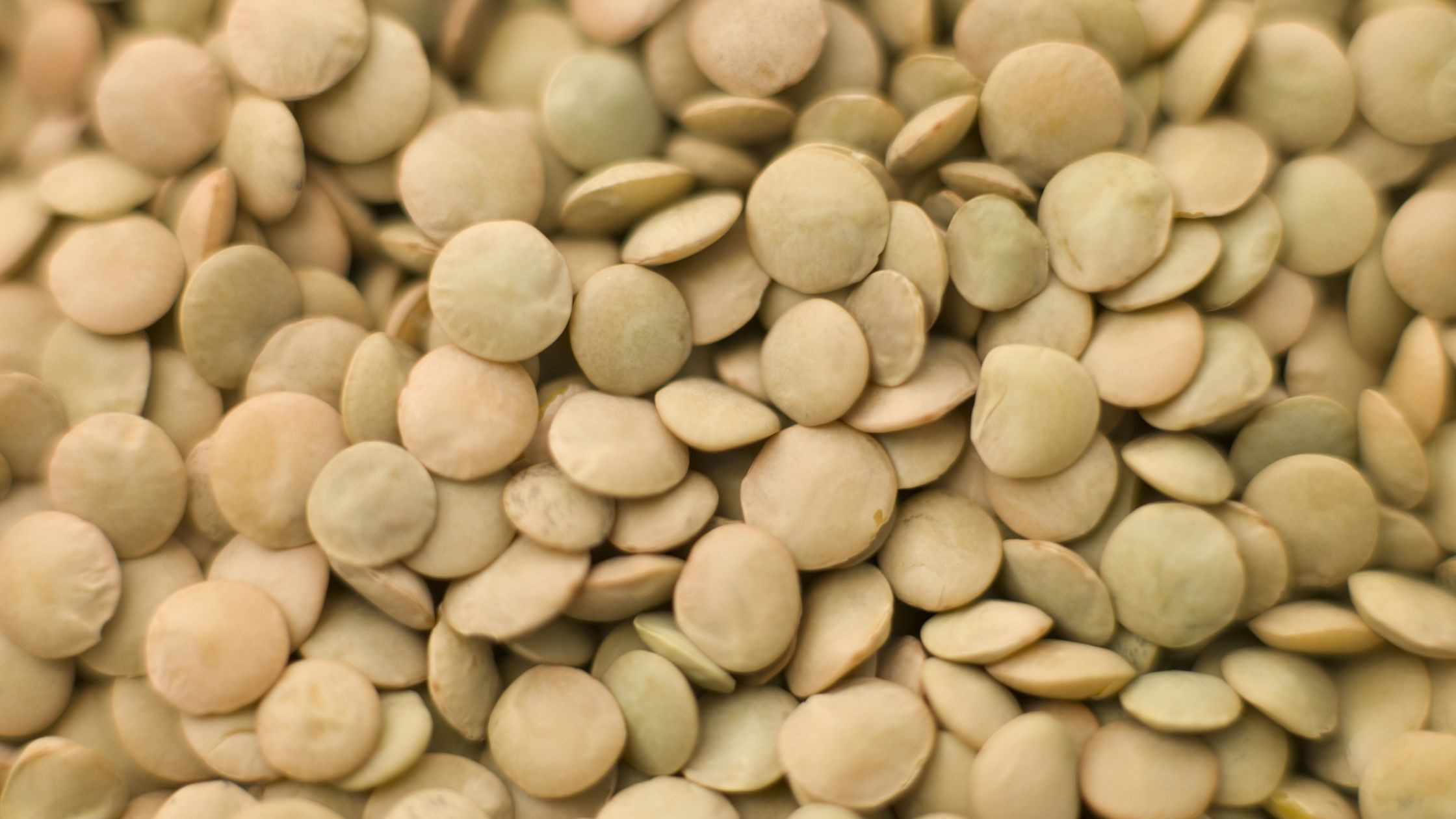 Green lentils