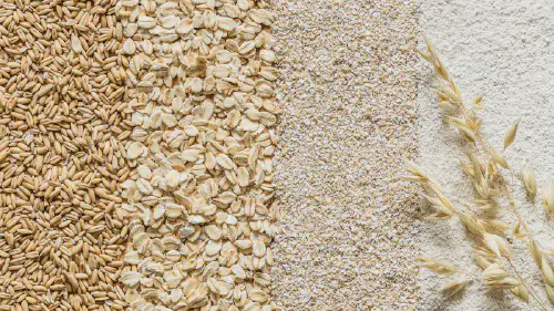 Bulk Oats Supplier & Oat Flakes Exporter