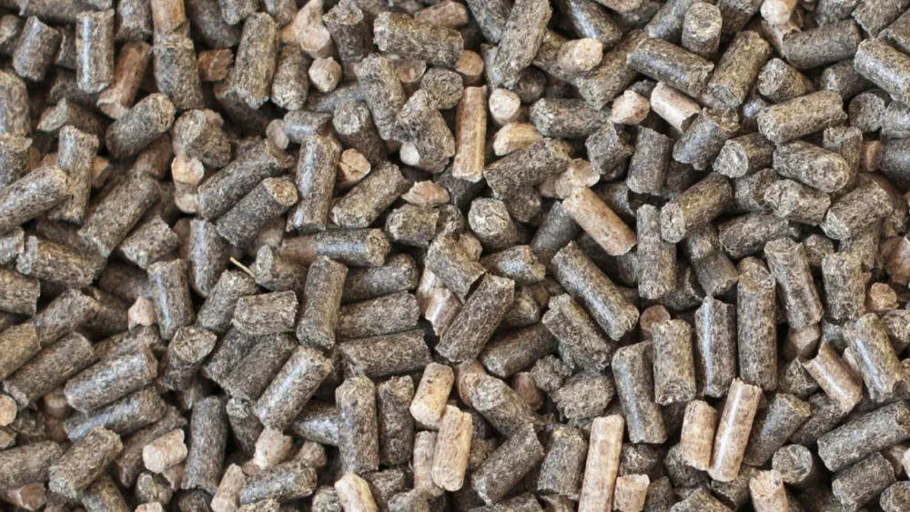 Rapeseed meal supplier | Non‑GMO 36–38% protein