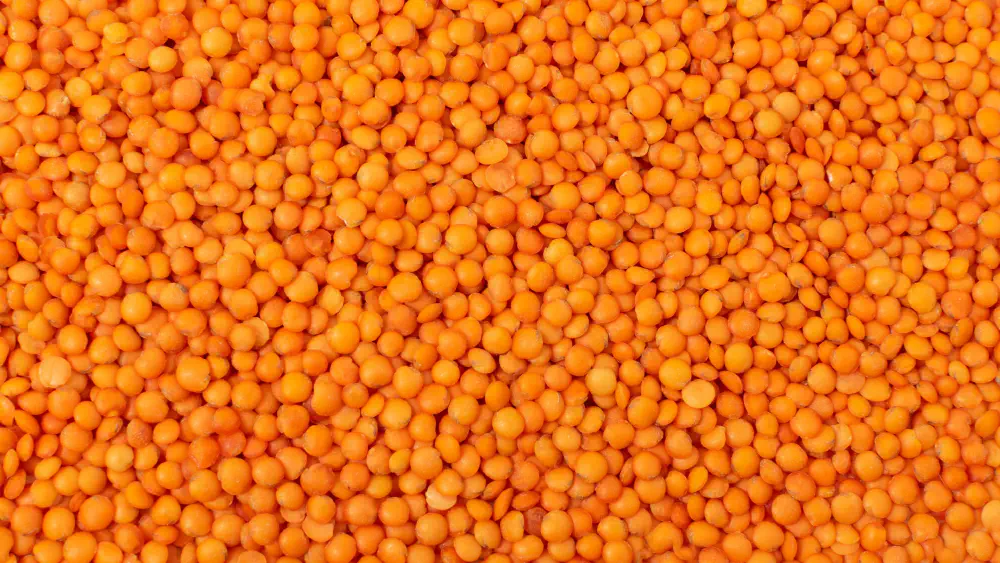 Lieferant für rote Linsen | Exporteur für gespaltene & ganze rote Linsen in Großmengen