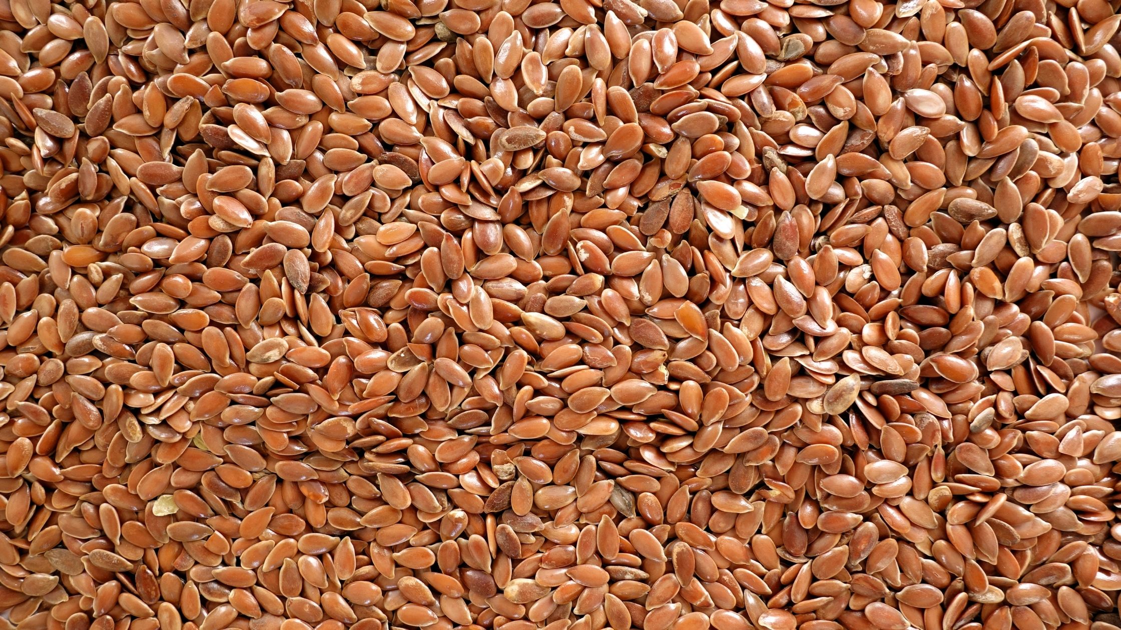 Linhaça marrom e dourada fornecida para ingredientes alimentícios, produção de óleo e rações