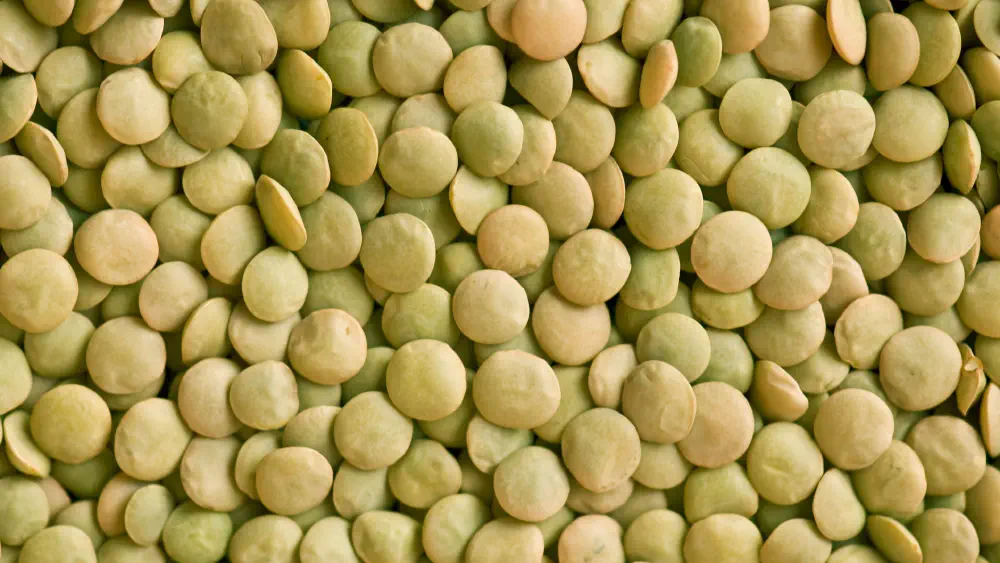 Fournisseur de lentilles vertes | Exportateur de lentilles vertes en vrac