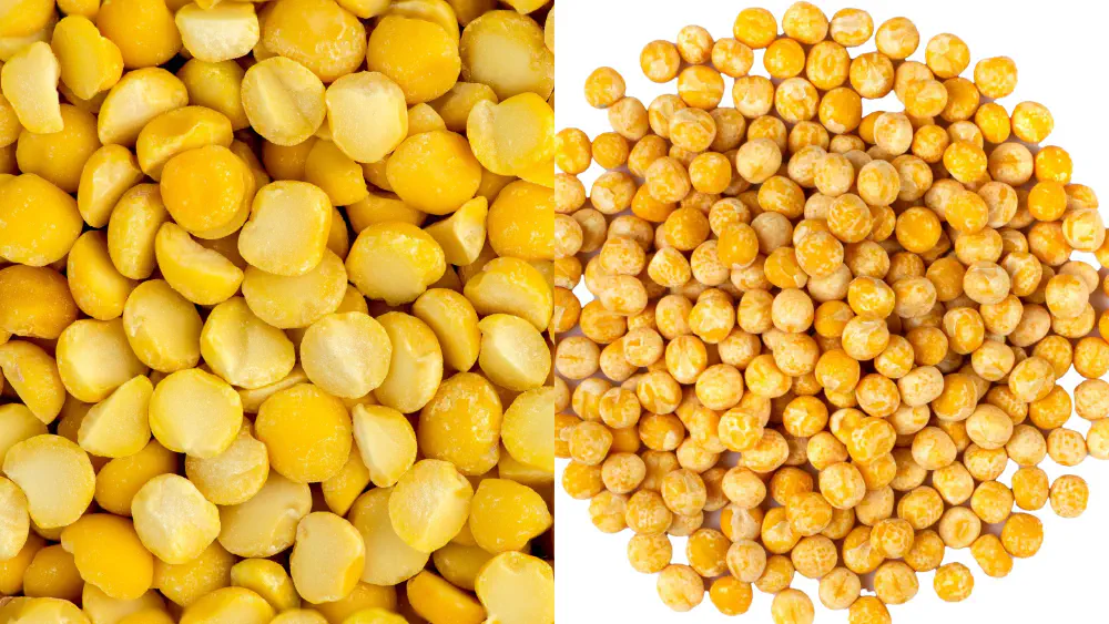 Fournisseur de pois | Exportateur de pois cassés & entiers