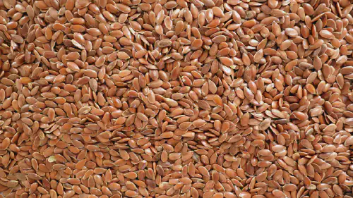 Kazakhstan Flaxseed Supplier: Bulk Brown & Golden Flaxseed