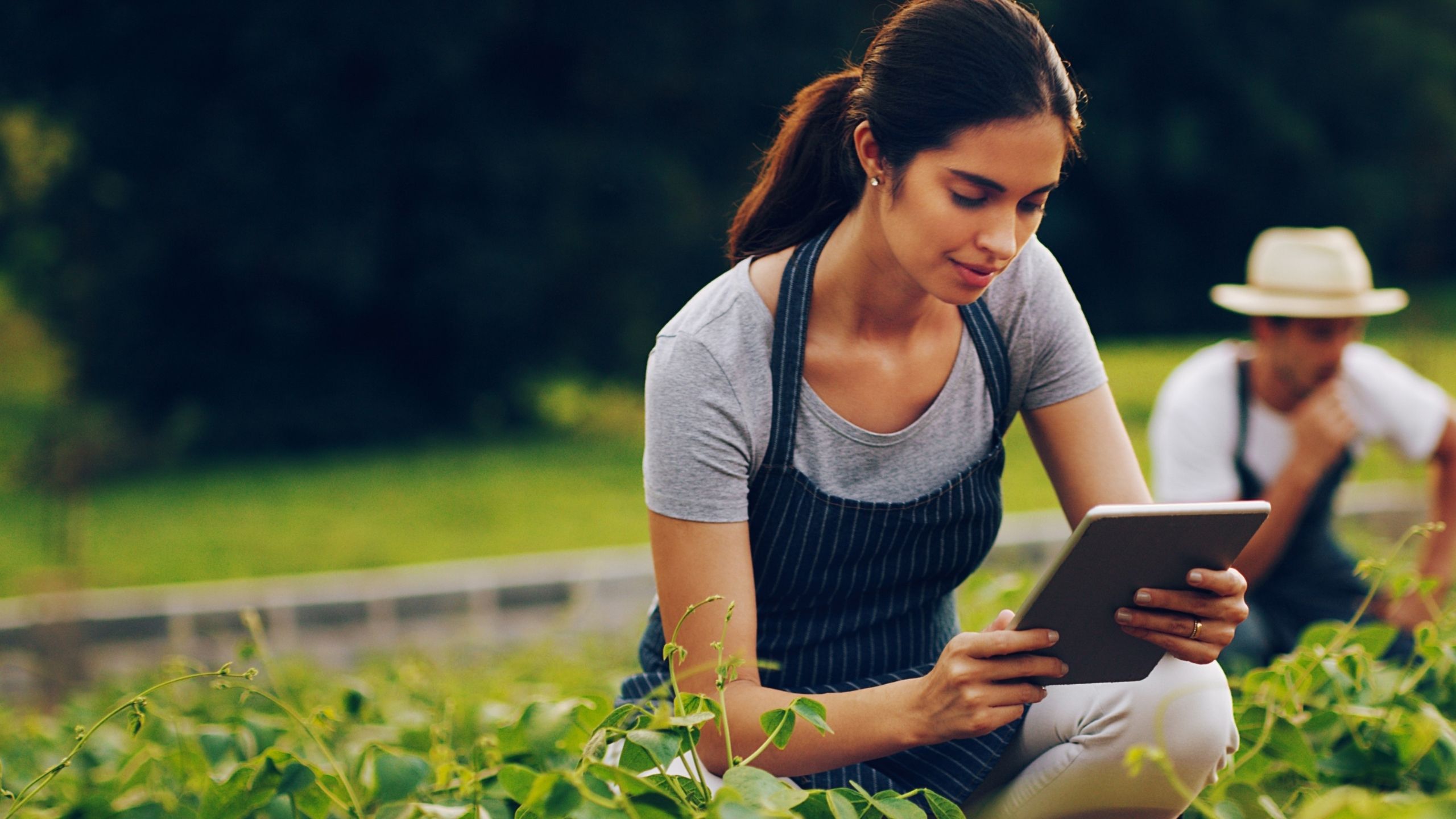 Agricoltore che usa un tablet mentre ispeziona le colture in campo