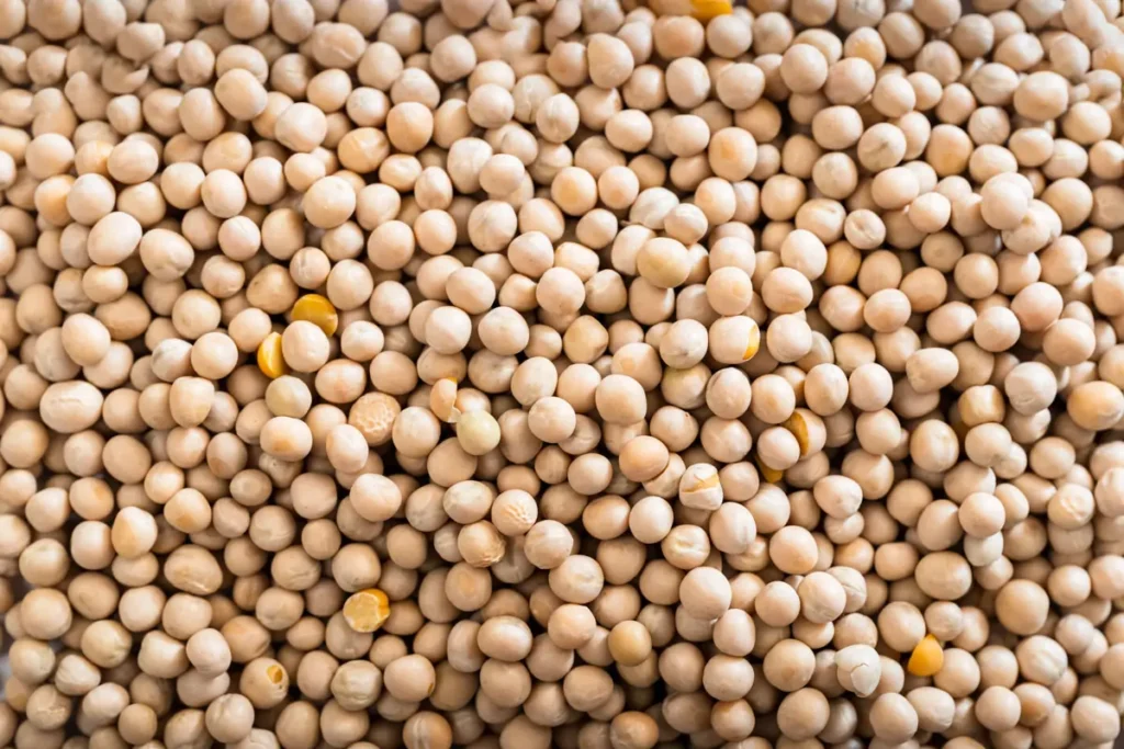 Yellow peas, dried, round legume seeds