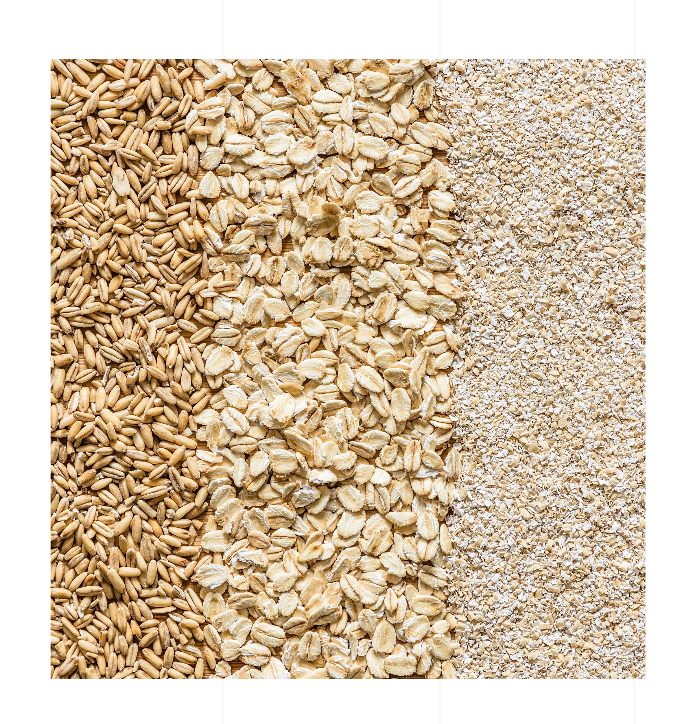 High-Quality Oats from Zenith Eclipse Co